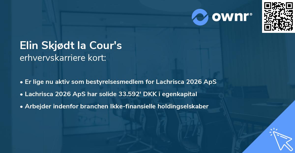 Elin Skjødt la Cour's erhvervskarriere kort