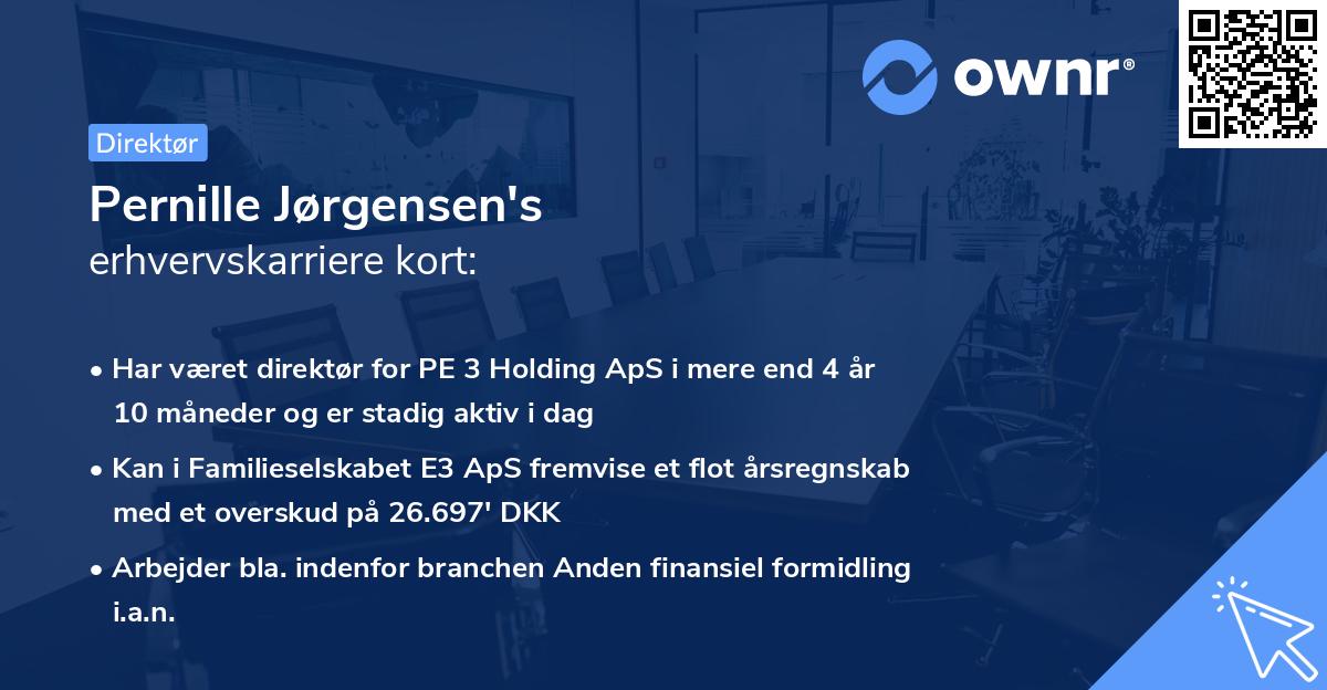 Pernille Jørgensen's erhvervskarriere kort
