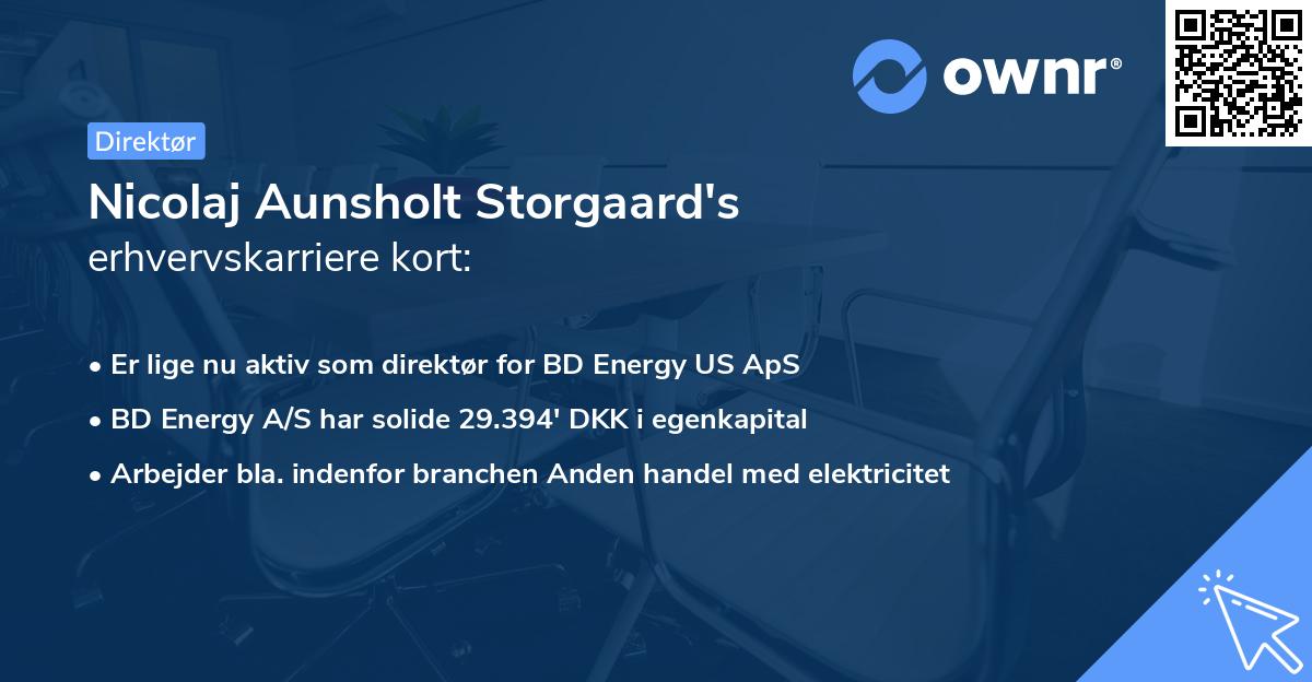 Nicolaj Aunsholt Storgaard's erhvervskarriere kort