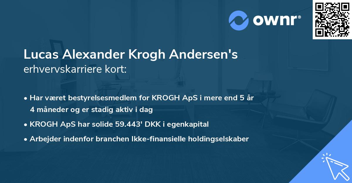 Lucas Alexander Krogh Andersen's erhvervskarriere kort