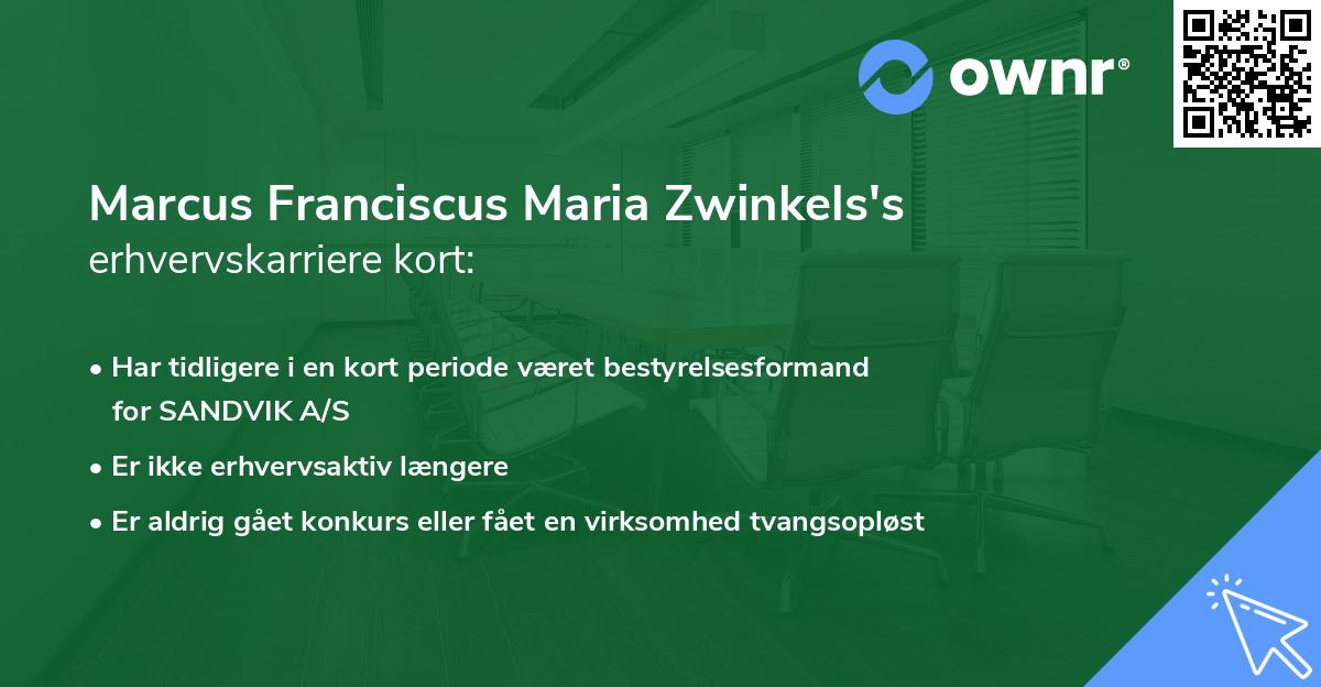 Marcus Franciscus Maria Zwinkels's erhvervskarriere kort