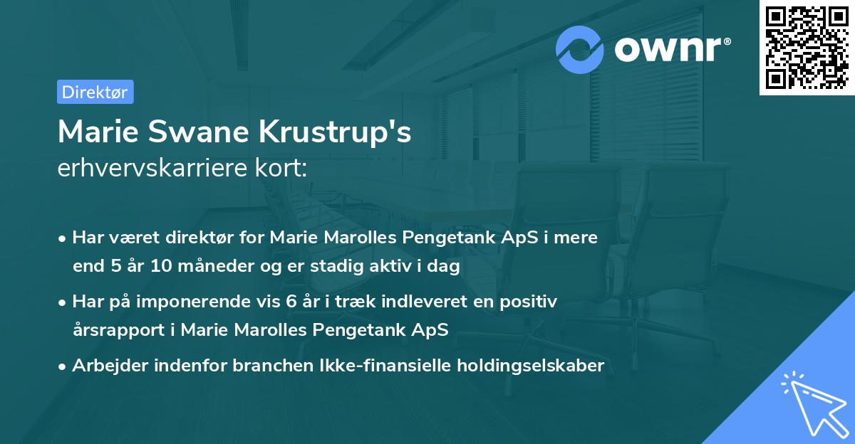 Marie Swane Krustrup's erhvervskarriere kort