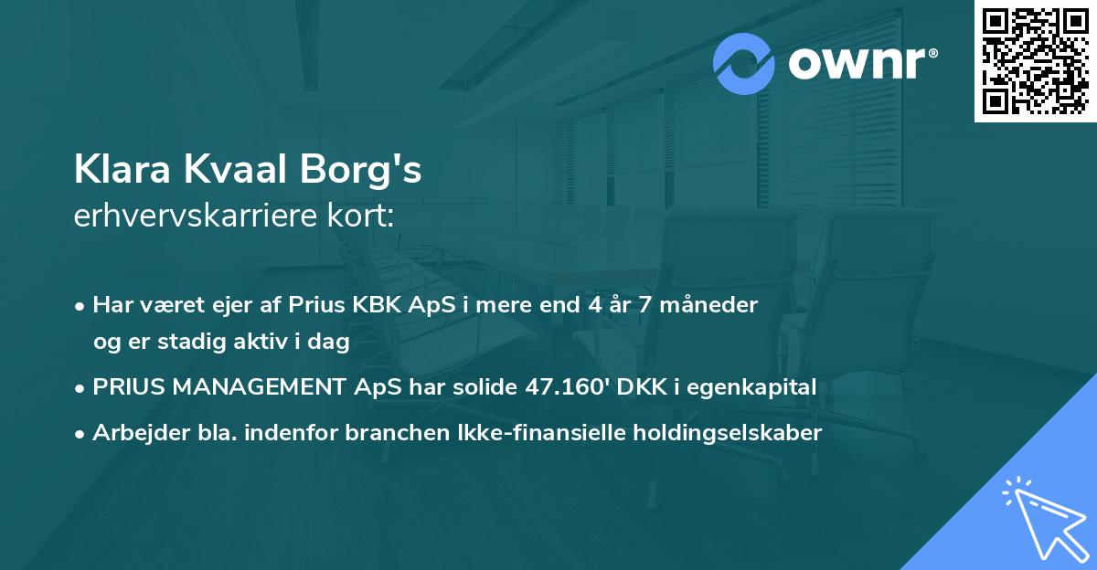 Klara Kvaal Borg's erhvervskarriere kort