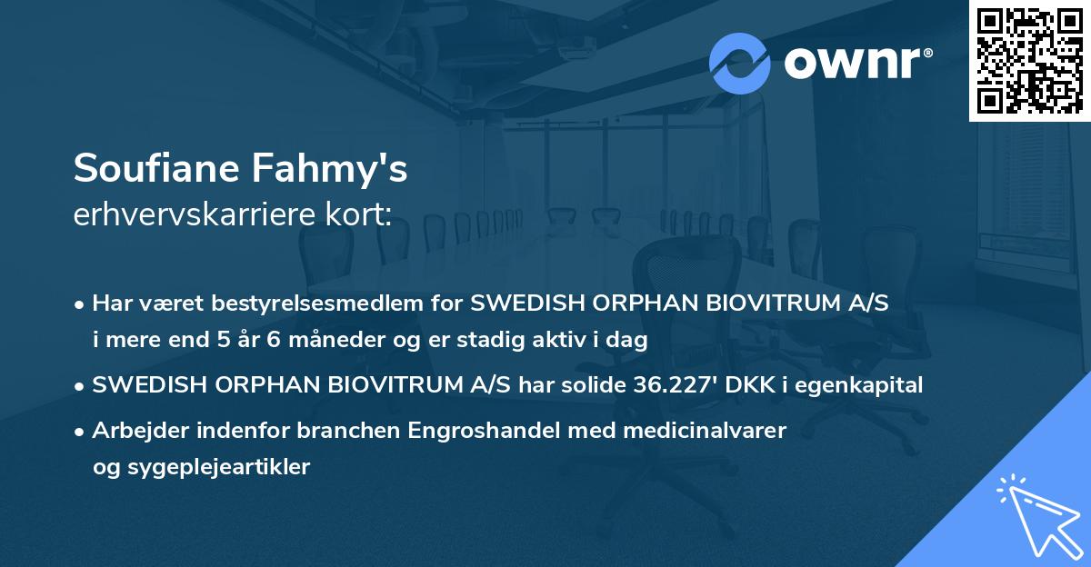 Soufiane Fahmy's erhvervskarriere kort