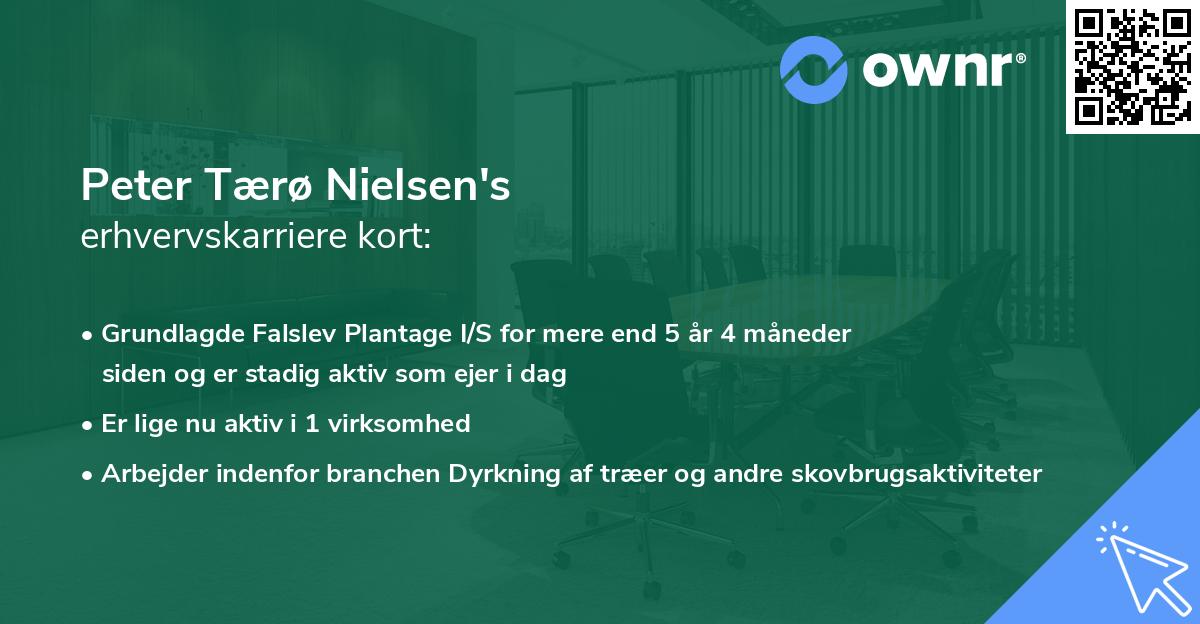 Peter Tærø Nielsen's erhvervskarriere kort