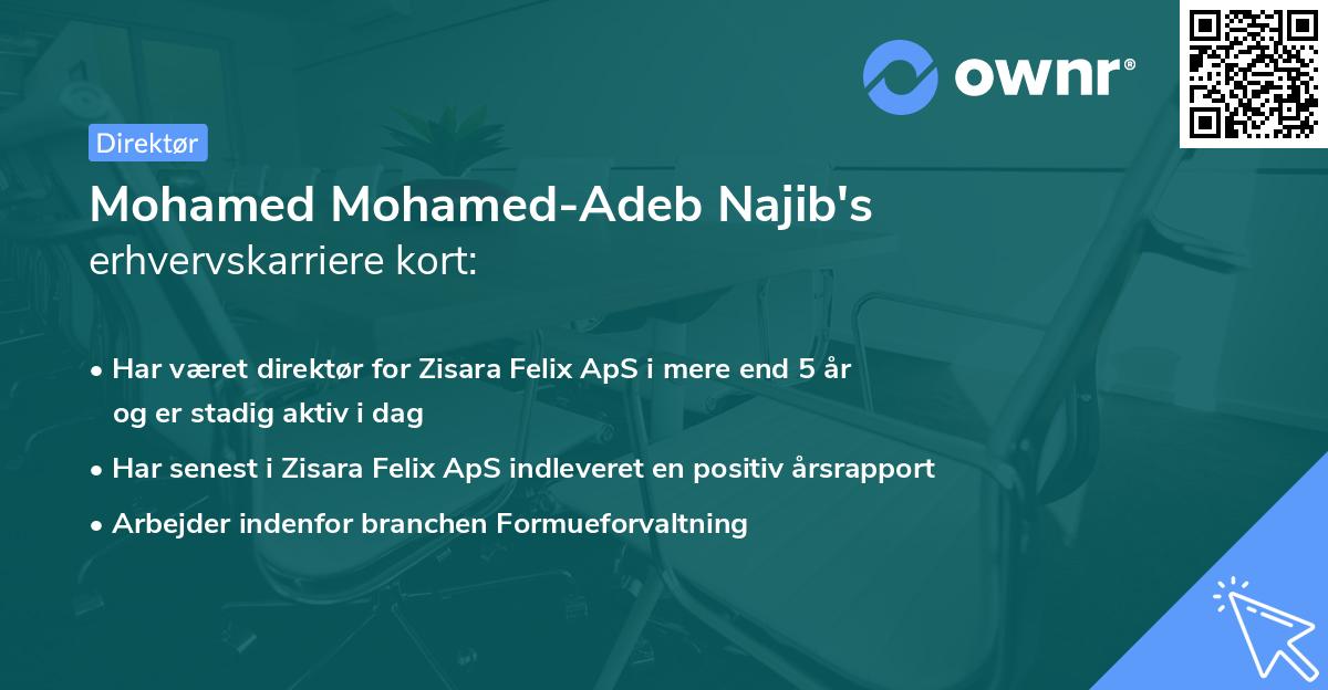 Mohamed Mohamed-Adeb Najib's erhvervskarriere kort