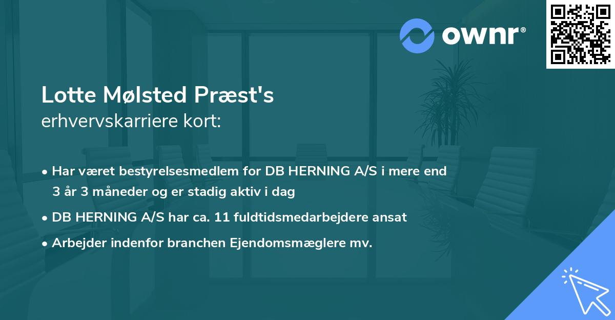 Lotte Mølsted Præst's erhvervskarriere kort