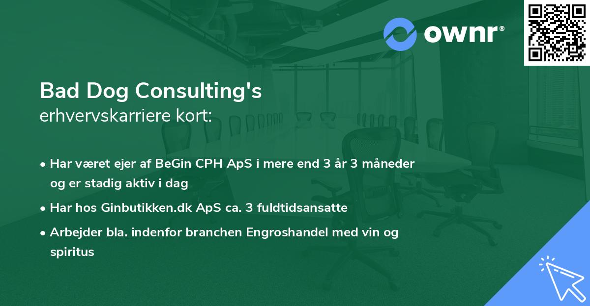 Bad Dog Consulting's erhvervskarriere kort