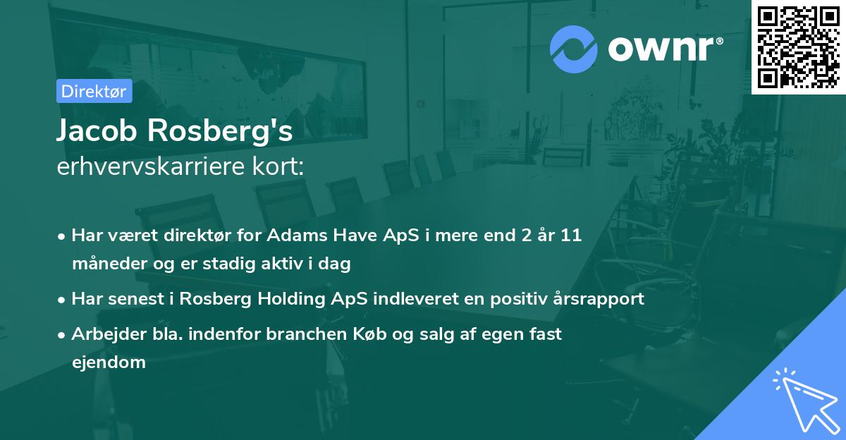 Jacob Rosberg's erhvervskarriere kort