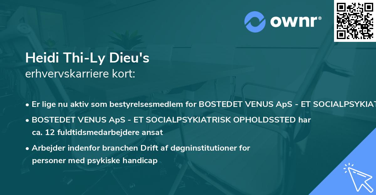 Heidi Thi-Ly Dieu's erhvervskarriere kort