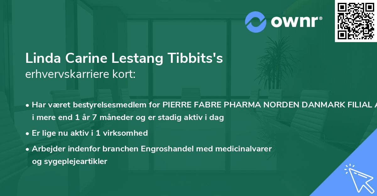 Linda Carine Lestang Tibbits's erhvervskarriere kort