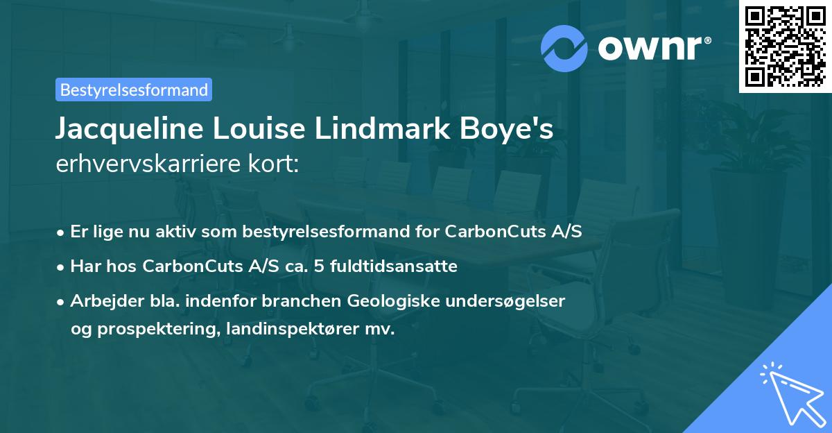 Jacqueline Louise Lindmark Boye's erhvervskarriere kort