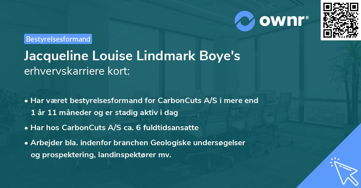 Jacqueline Louise Lindmark Boye's erhvervskarriere kort