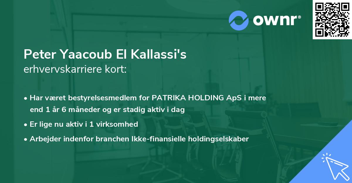 Peter Yaacoub El Kallassi's erhvervskarriere kort
