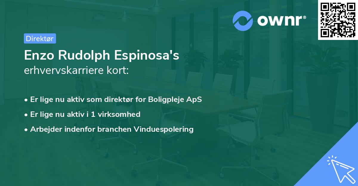 Enzo Rudolph Espinosa's erhvervskarriere kort