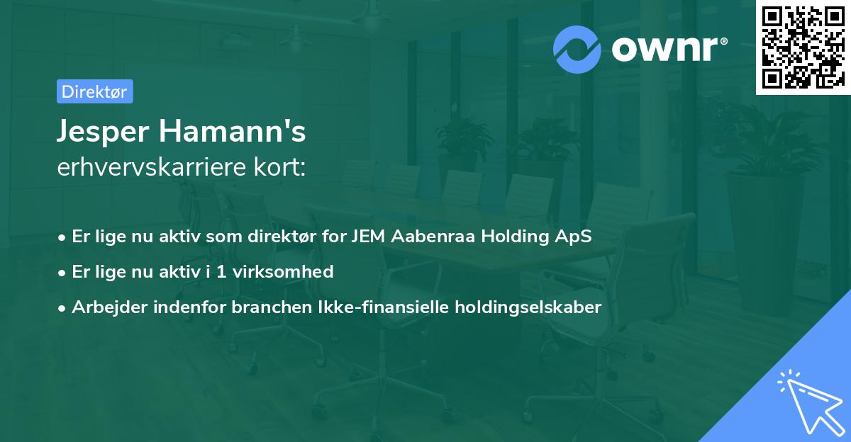 Jesper Hamann's erhvervskarriere kort
