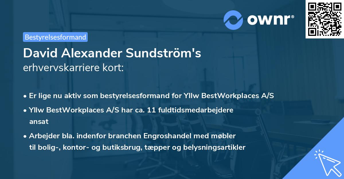 David Alexander Sundström's erhvervskarriere kort