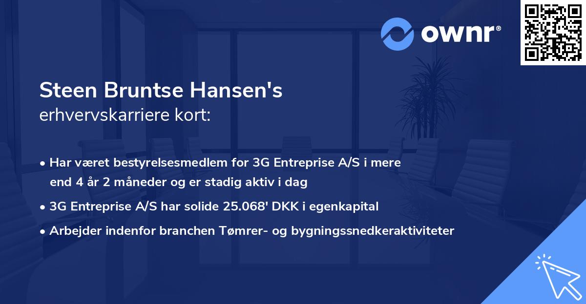 Steen Bruntse Hansen's erhvervskarriere kort