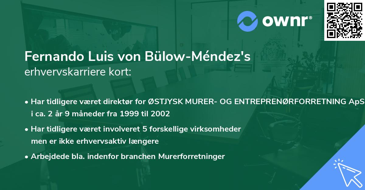 Fernando Luis von Bülow-Méndez's erhvervskarriere kort