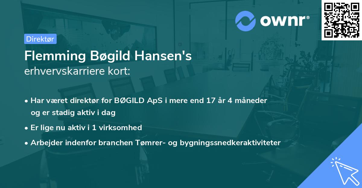 Flemming Bøgild Hansen's erhvervskarriere kort