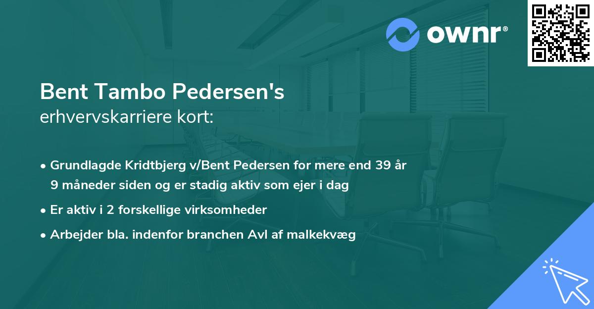 Bent Tambo Pedersen's erhvervskarriere kort