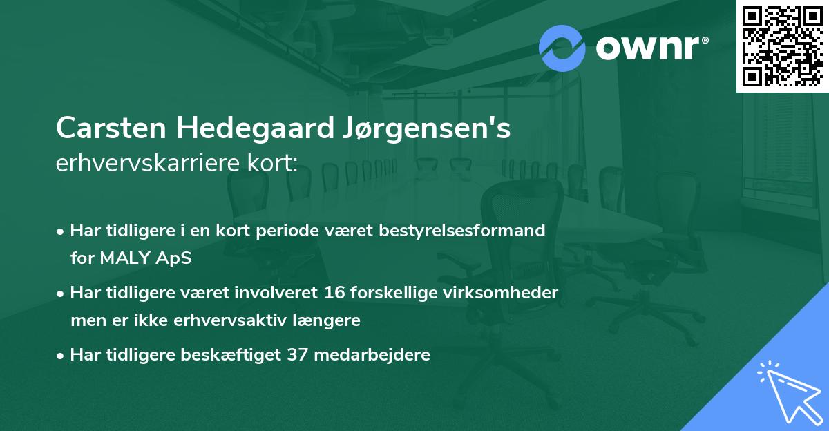 Carsten Hedegaard Jørgensen's erhvervskarriere kort