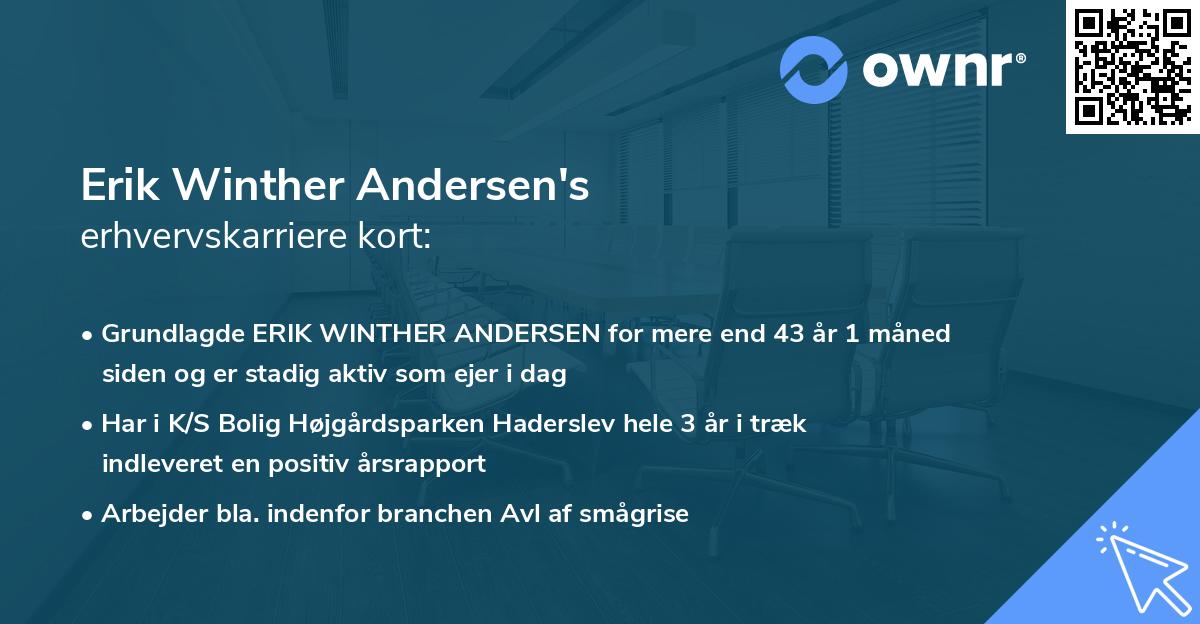 Erik Winther Andersen's erhvervskarriere kort