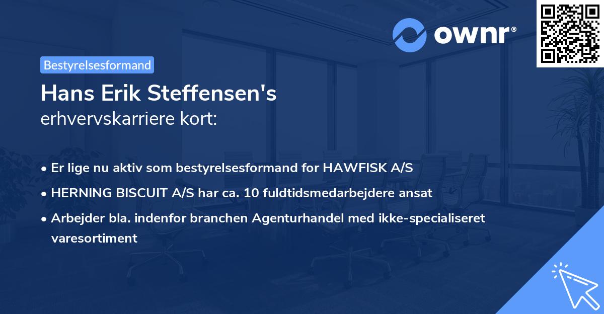 Hans Erik Steffensen's erhvervskarriere kort