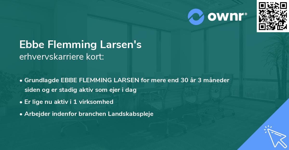 Ebbe Flemming Larsen's erhvervskarriere kort