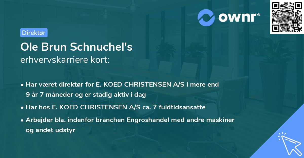 Ole Brun Schnuchel's erhvervskarriere kort