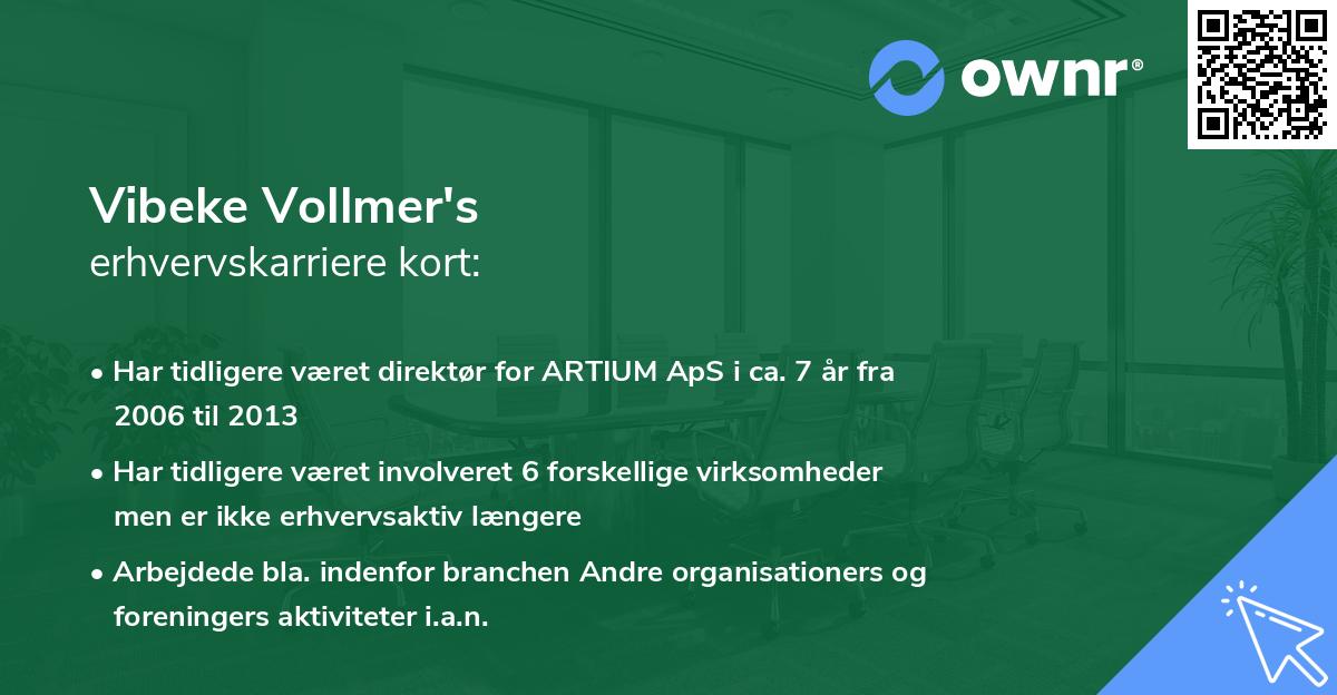 Vibeke Vollmer's erhvervskarriere kort