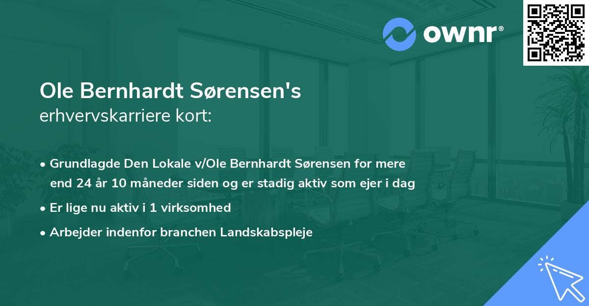 Ole Bernhardt Sørensen's erhvervskarriere kort