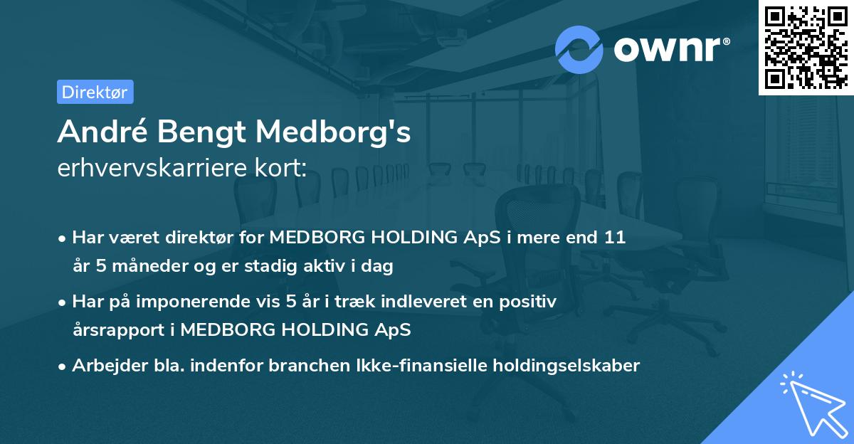 André Bengt Medborg's erhvervskarriere kort