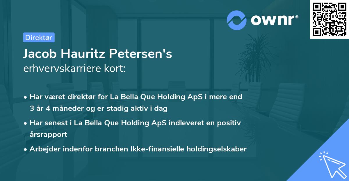 Jacob Hauritz Petersen's erhvervskarriere kort