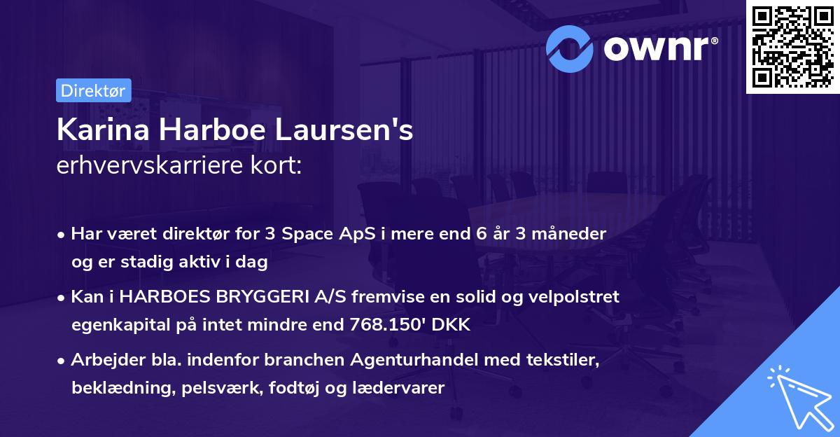 Karina Harboe Laursen's erhvervskarriere kort