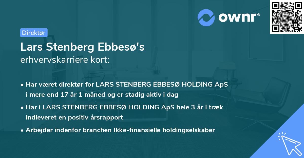 Lars Stenberg Ebbesø's erhvervskarriere kort