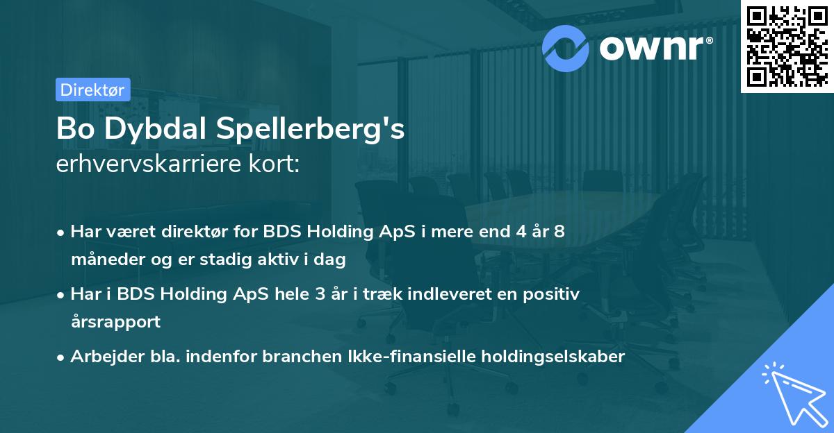Bo Dybdal Spellerberg's erhvervskarriere kort