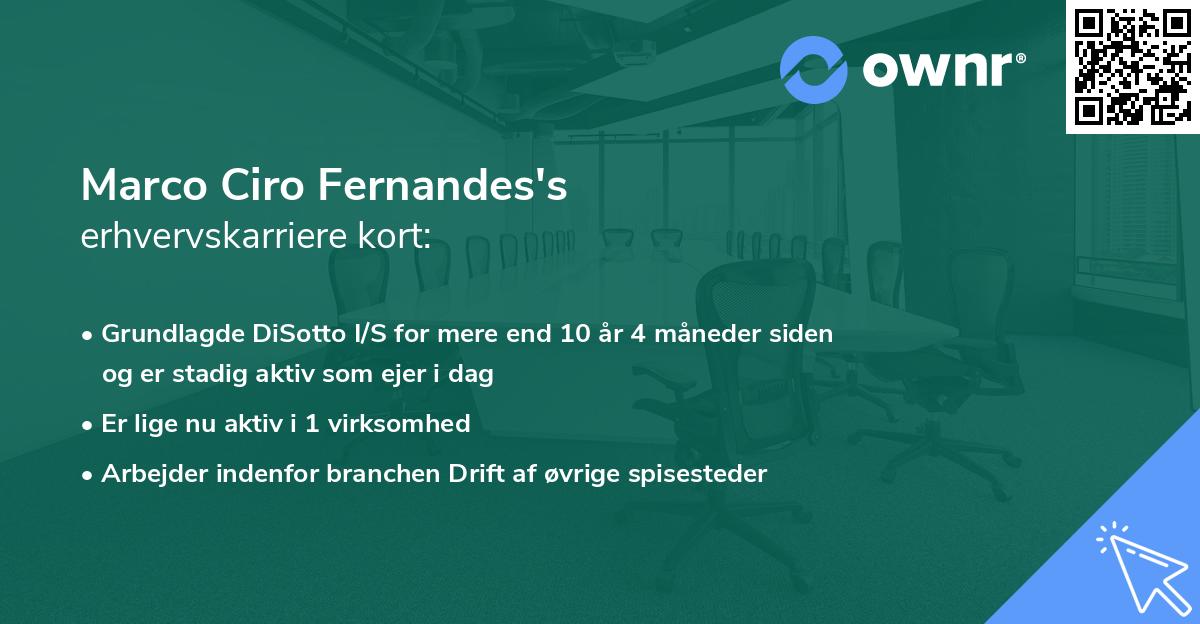 Marco Ciro Fernandes's erhvervskarriere kort