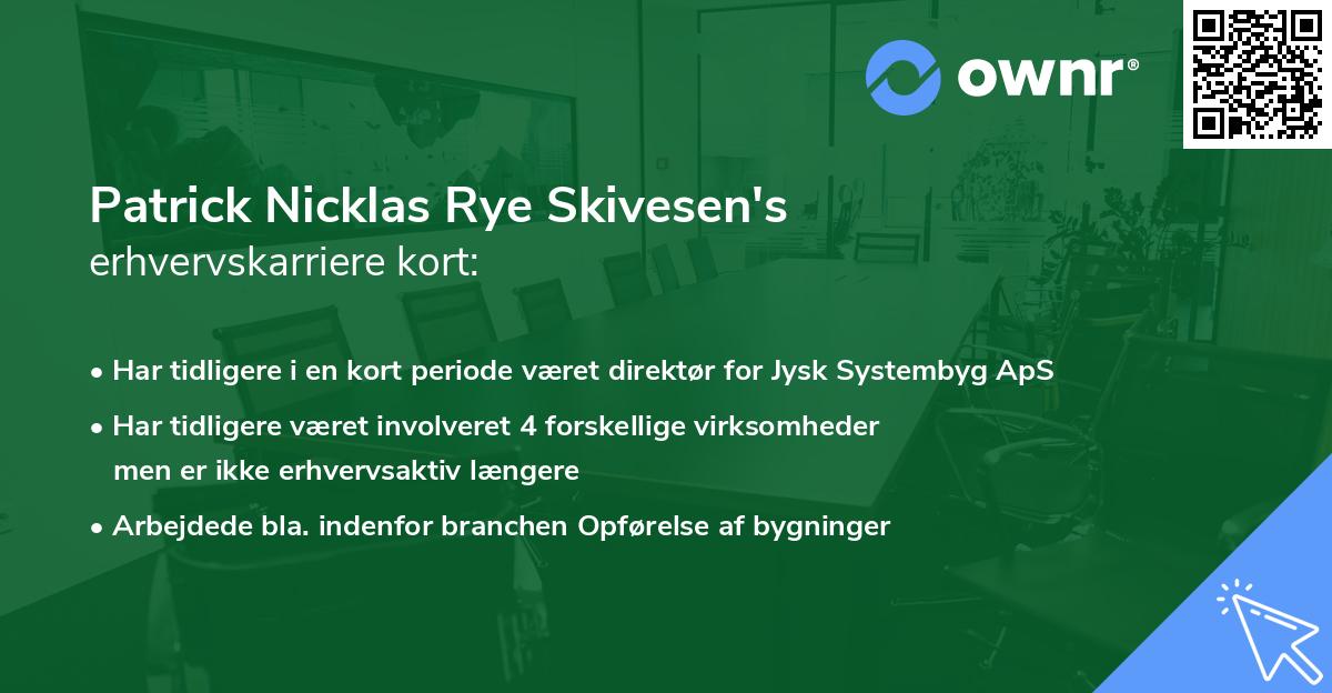 Patrick Nicklas Rye Skivesen's erhvervskarriere kort