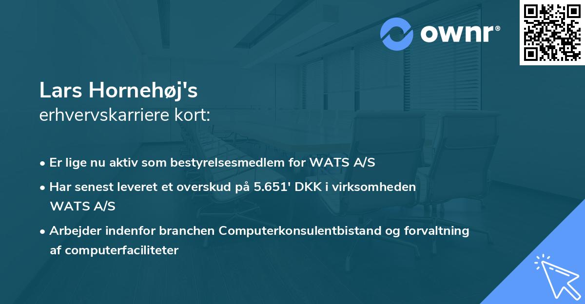 Lars Hornehøj's erhvervskarriere kort