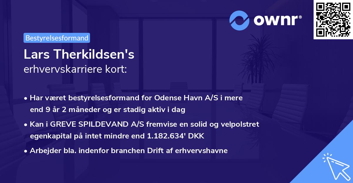 Lars Therkildsen's erhvervskarriere kort