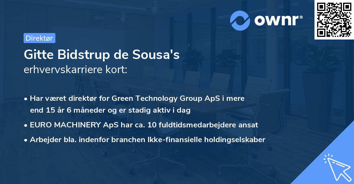 Gitte Bidstrup de Sousa's erhvervskarriere kort