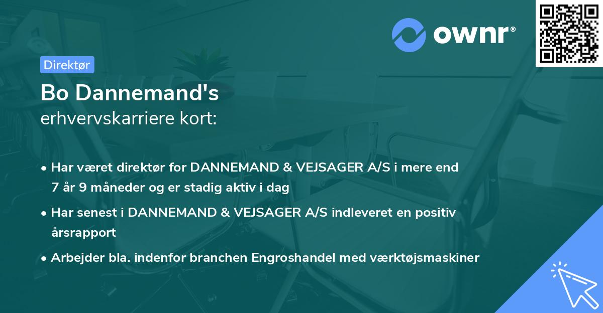 Bo Dannemand's erhvervskarriere kort