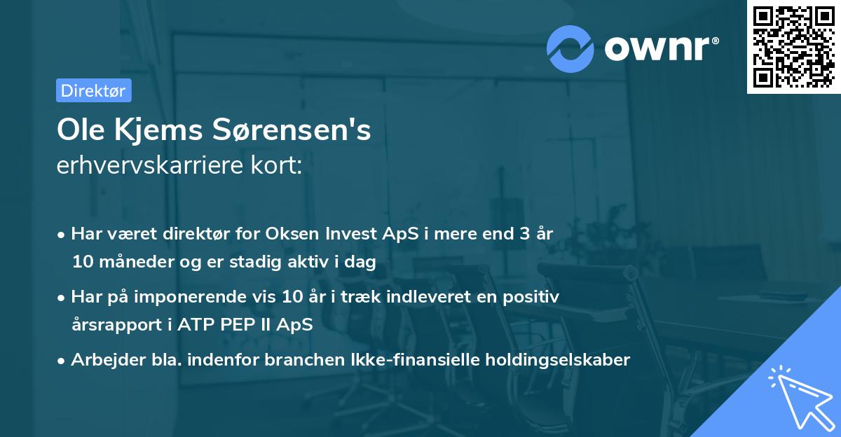 Ole Kjems Sørensen's erhvervskarriere kort