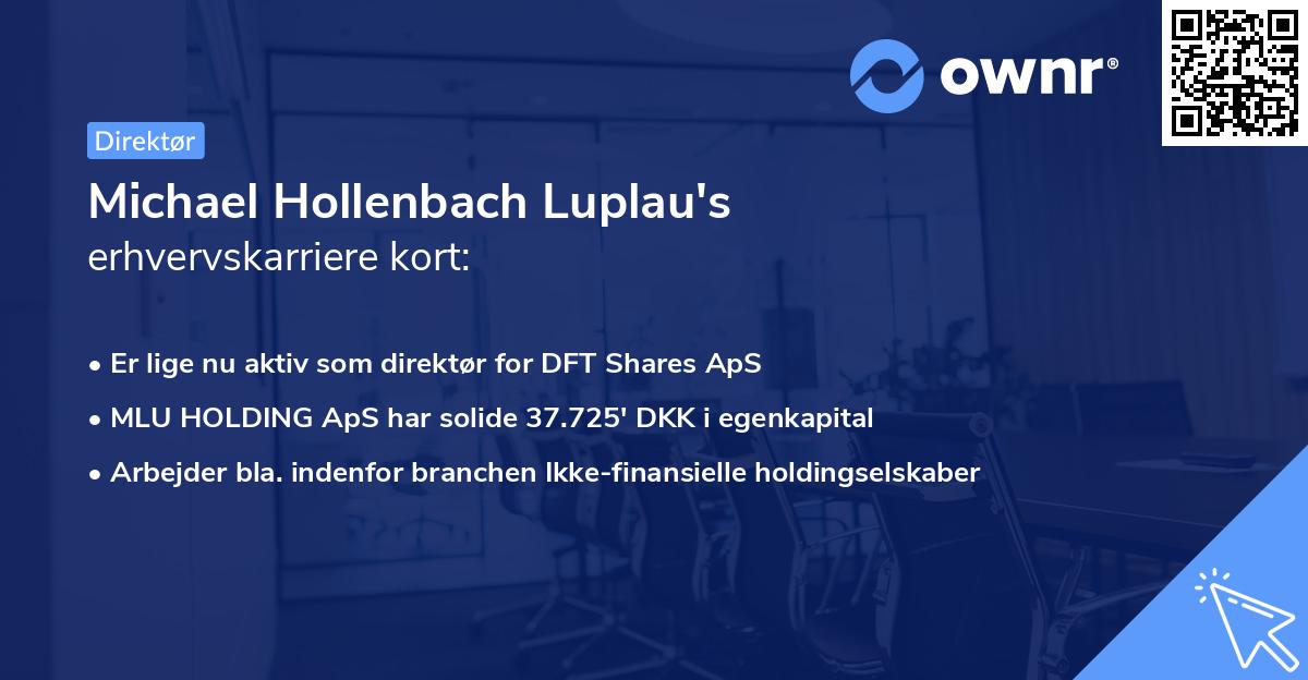 Michael Hollenbach Luplau's erhvervskarriere kort