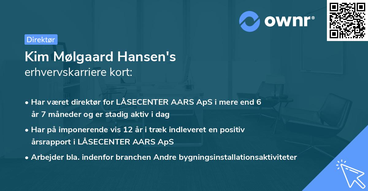 Kim Mølgaard Hansen's erhvervskarriere kort