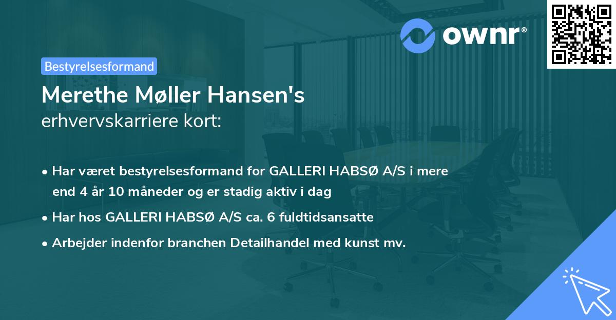 Merethe Møller Hansen's erhvervskarriere kort