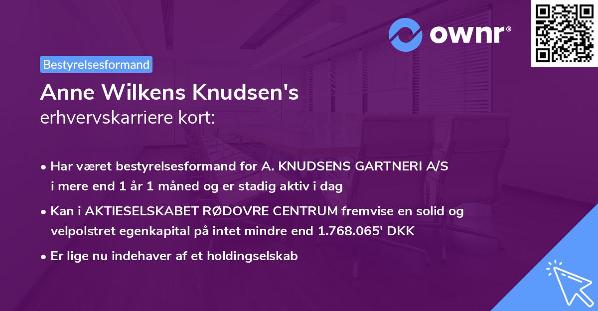 Anne Wilkens Knudsen's erhvervskarriere kort