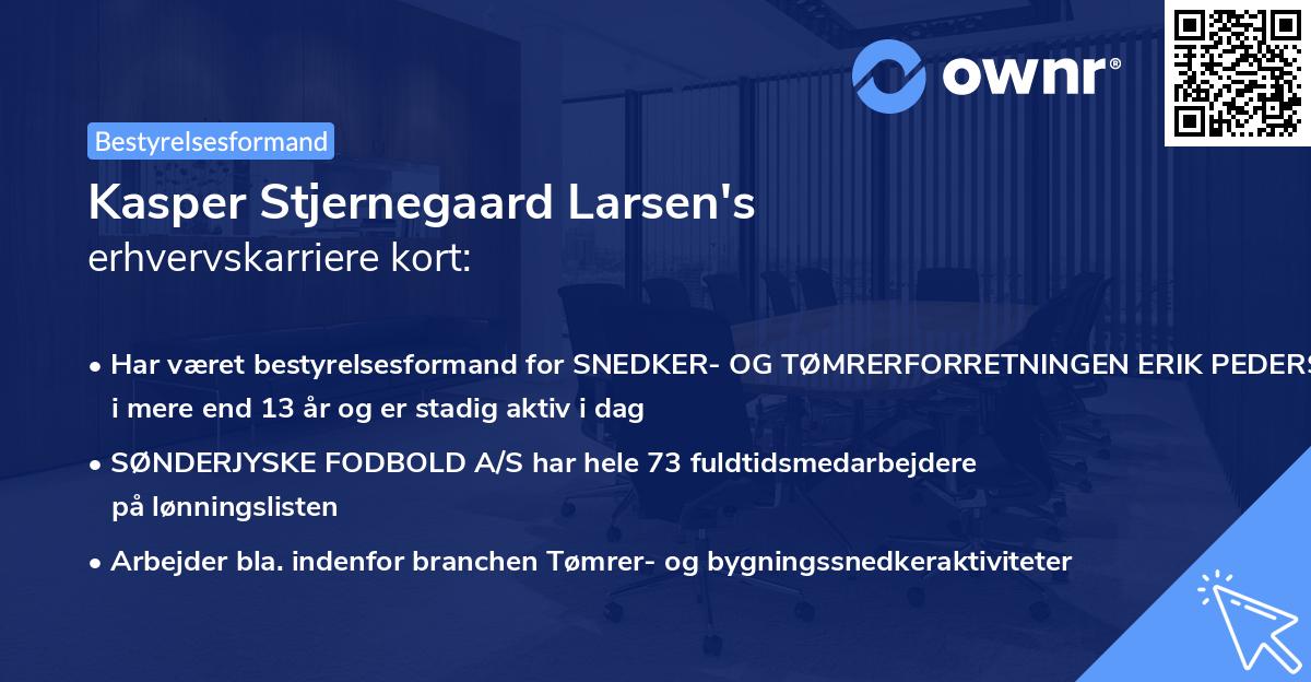Kasper Stjernegaard Larsen's erhvervskarriere kort