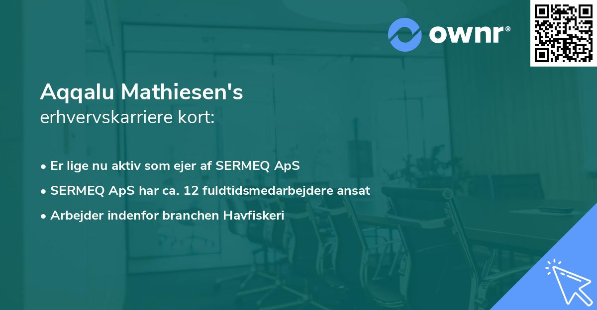 Aqqalu Mathiesen's erhvervskarriere kort